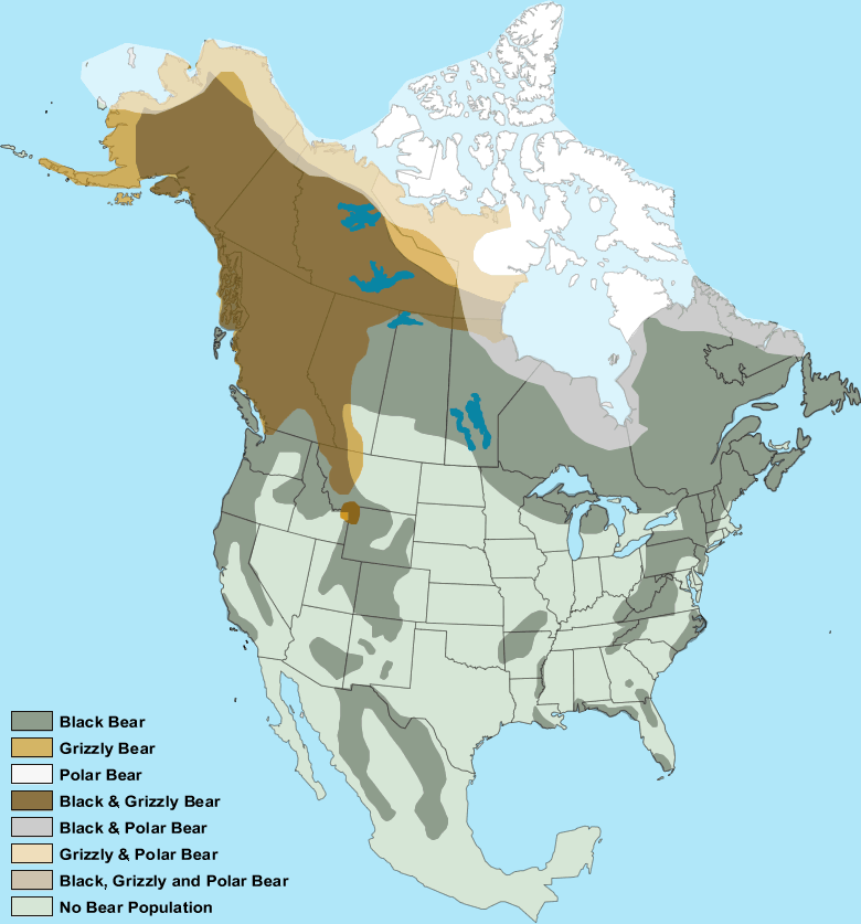 bear-population-map-united-states