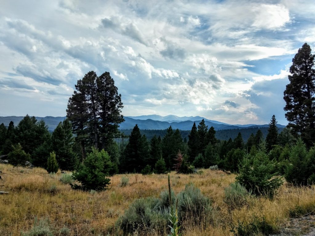 beaverhead deerlodge national forest