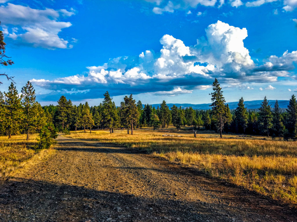 wallowa-whitman national forest