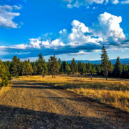 wallowa-whitman national forest