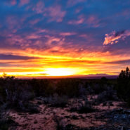 canyons of the ancients boondocking
