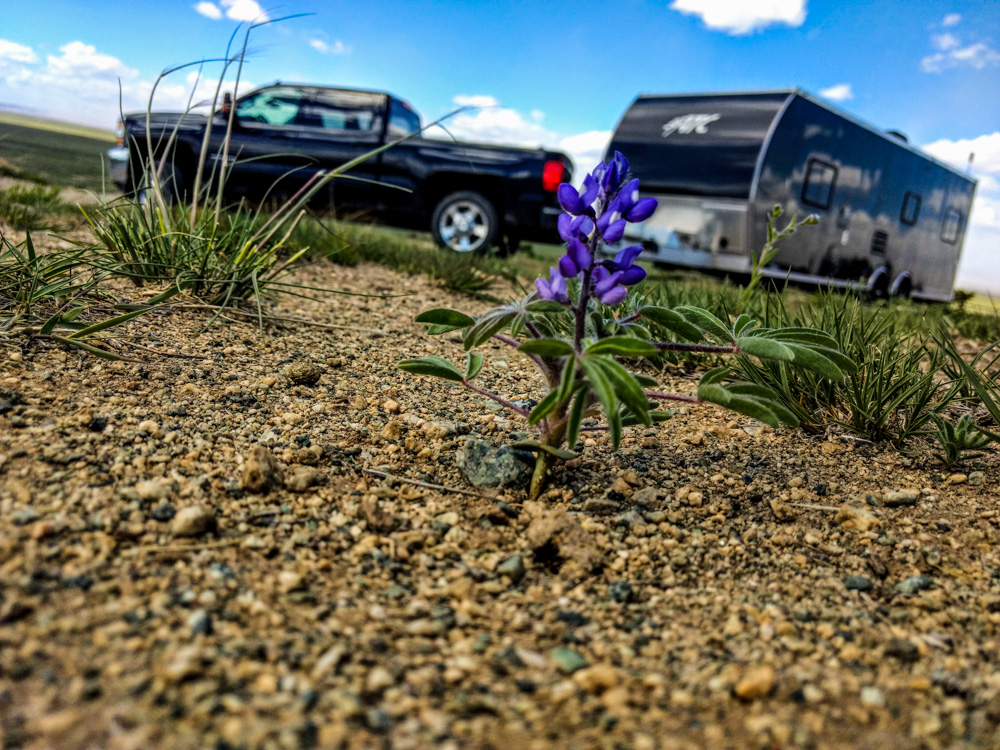 camping on colorado state trust land