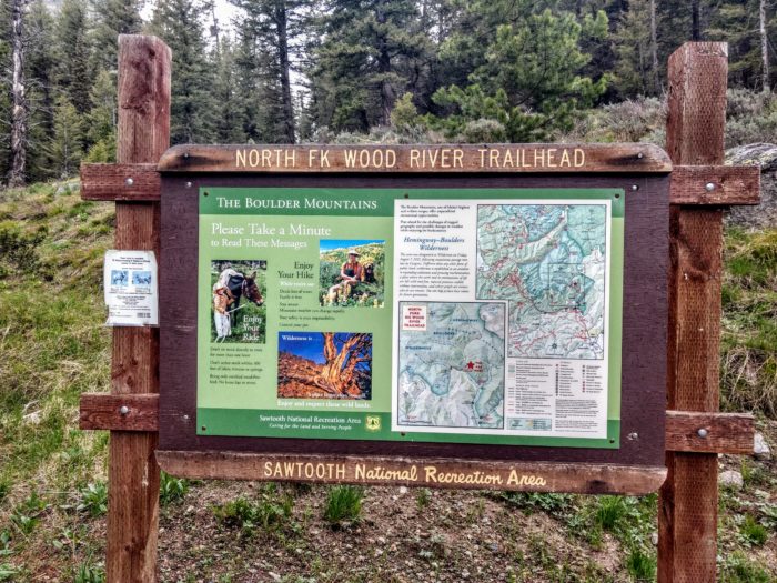 national forest camping