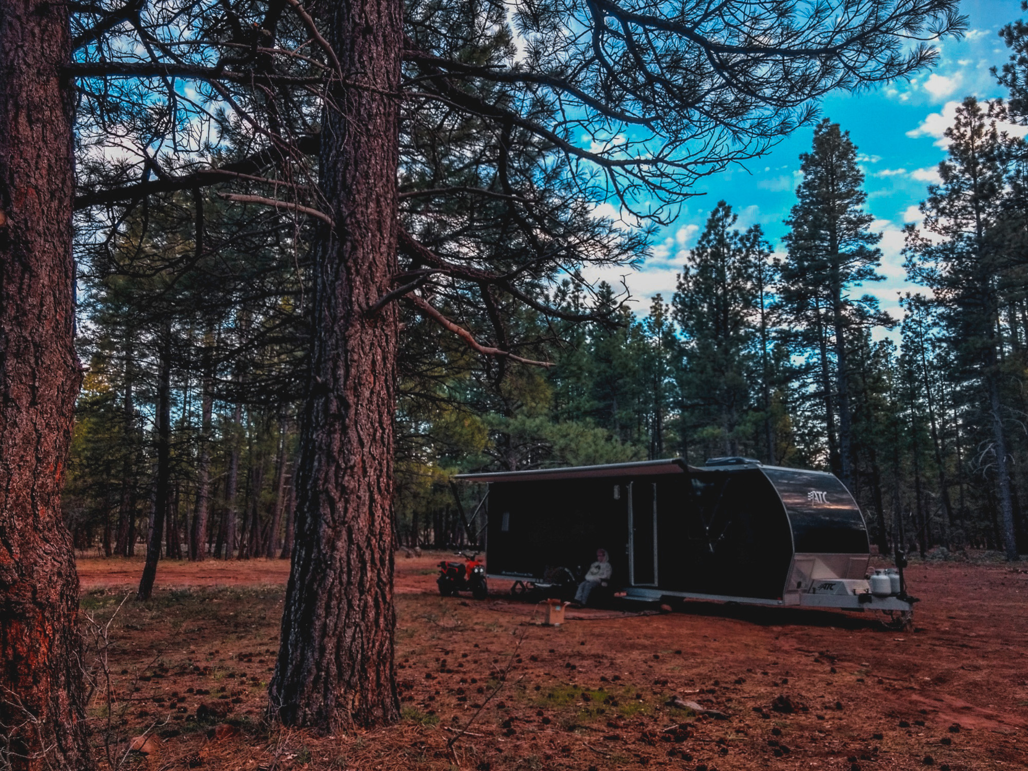Schnebly Hill Road, Coconino National Forest, AZ