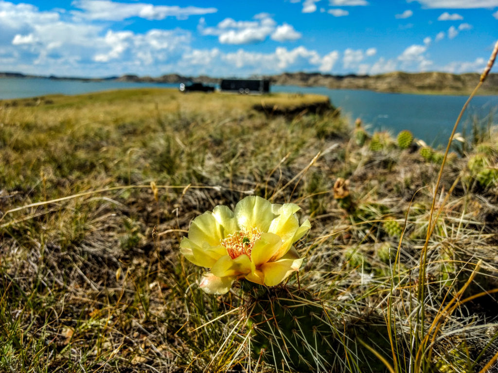 nelson creek recreation area, fort peck lake, montana campning