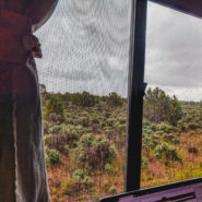 free camping grand staircase escalante national monument