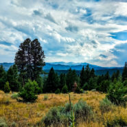 homestake pass montana camping