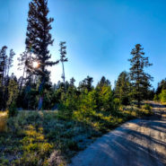 homestake pass montana camping