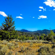 homestake pass montana camping