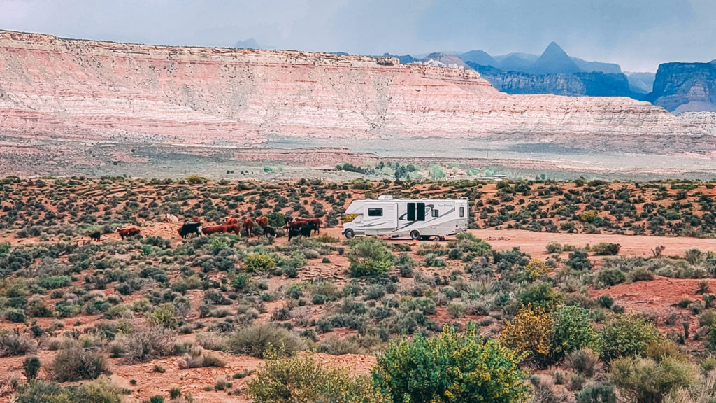 sheep bridge road utah camping