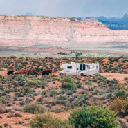 sheep bridge road utah camping