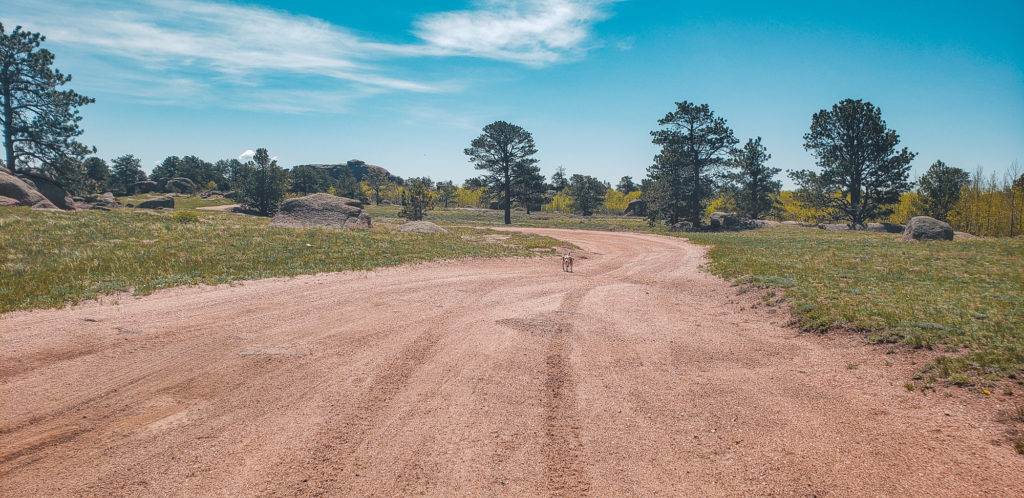 vedauwoo wyoming dispersed camping