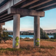 vernita bridge camping