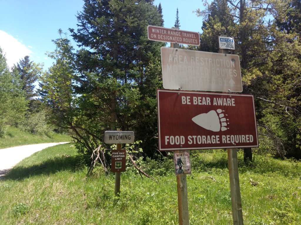 moose creek trailhead victor idaho camping