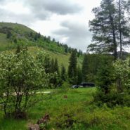 moose creek trailhead victor idaho camping