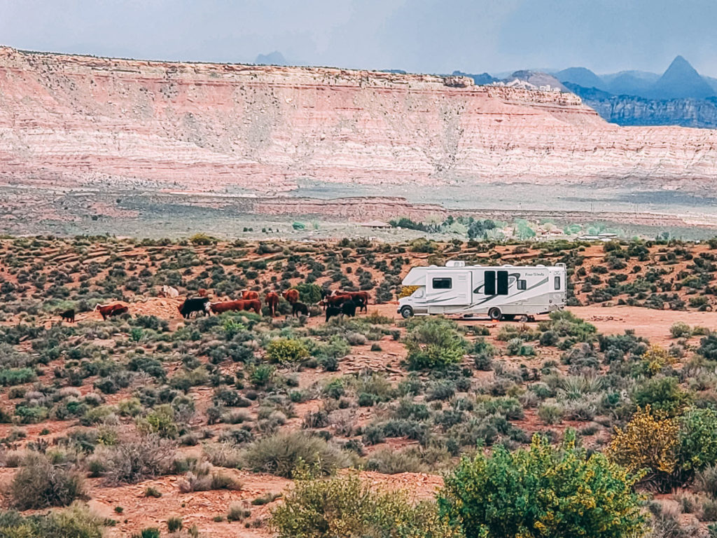 utah state trust land camping