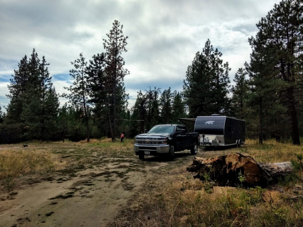 you can camp anywhere in a national forest