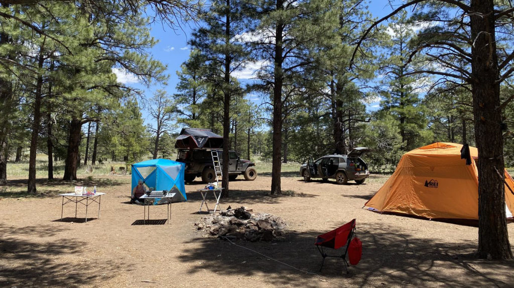 COCONINO NATIONAL FOREST DISPERSED CAMPING RULES visual data 2