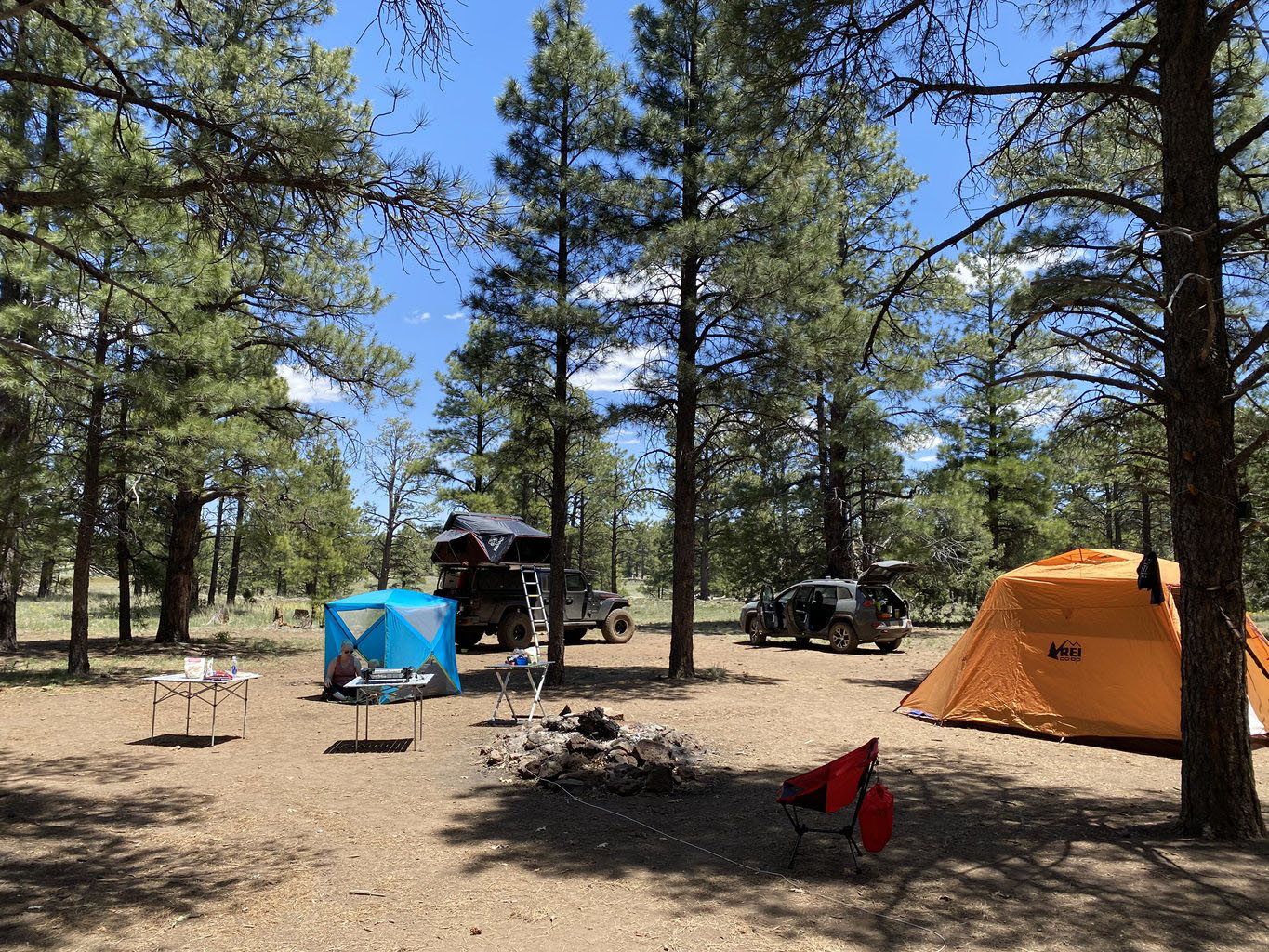 coconino national forest camping