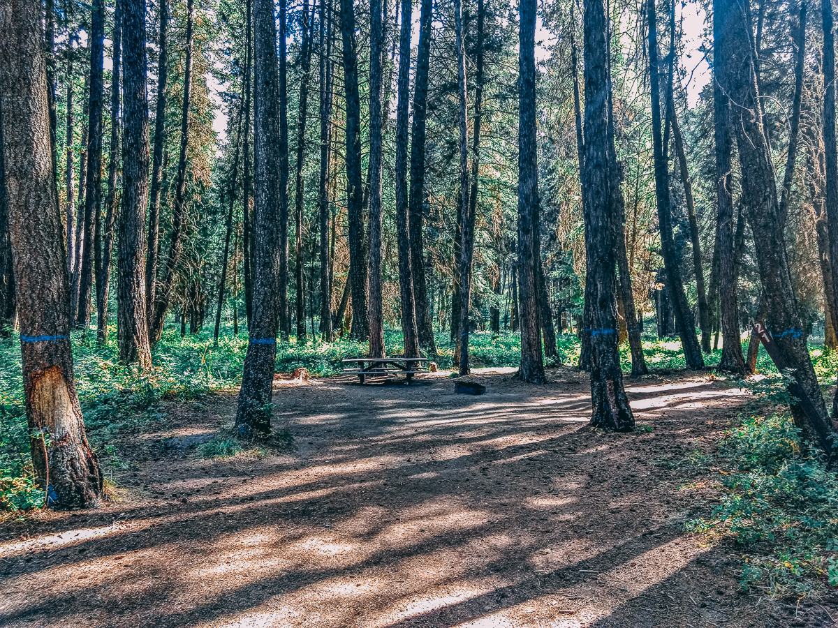 Can I Buy Land in a National Forest? Boondocker's Bible