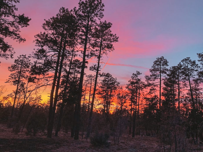 prescott national forest camping rules