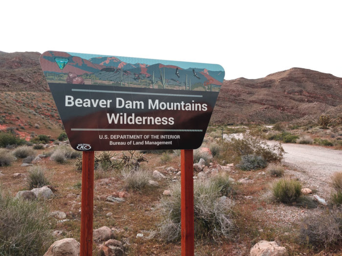 blm wilderness area camping