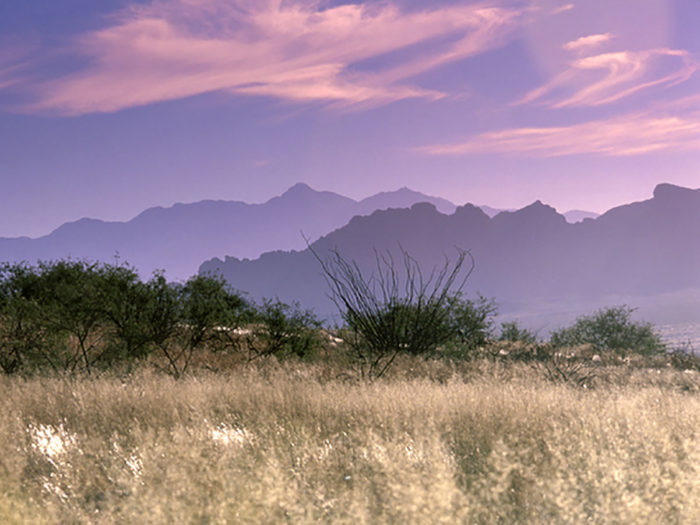 buenos aires national wildlife refuge camping