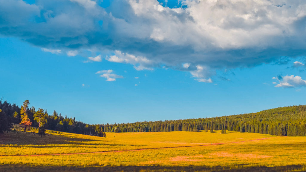 greens peak camping, apache-sitgreaves national forest