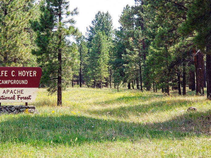 apache-sitgreaves national forest evacuation order