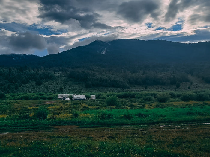 what uses are permitted in a national forest