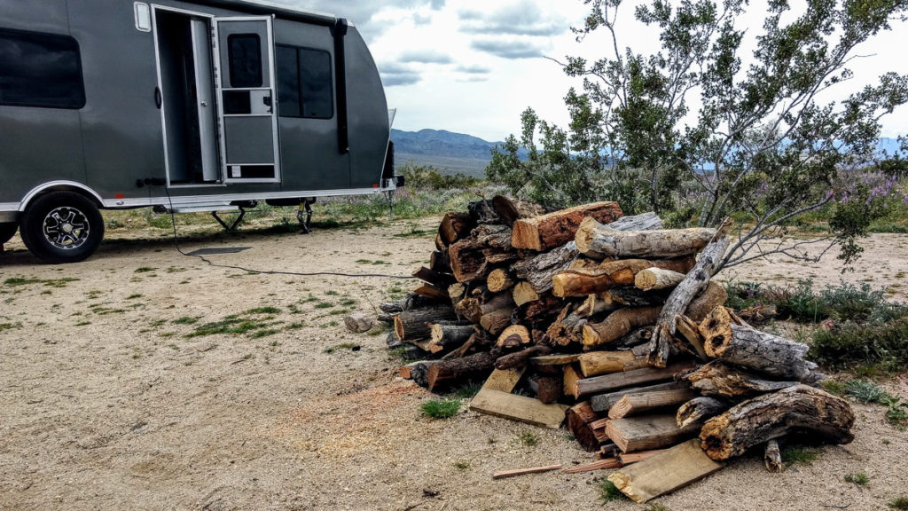 collecting firewood for camping