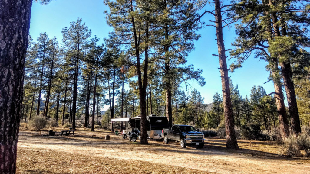 can you camp for free in a national forest