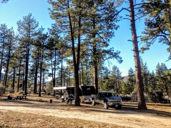 can you camp for free in a national forest
