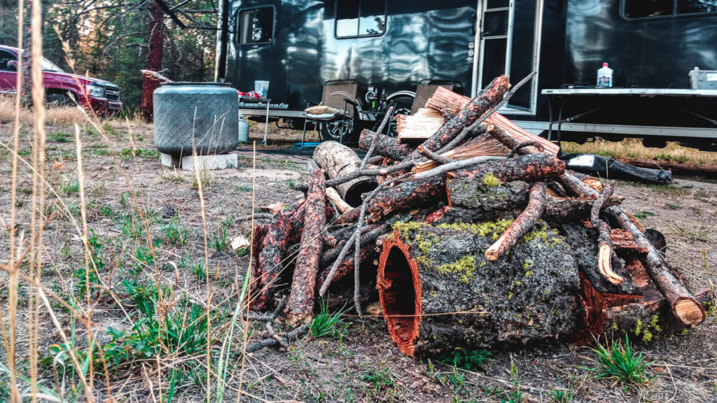 collect firewood in a national forest