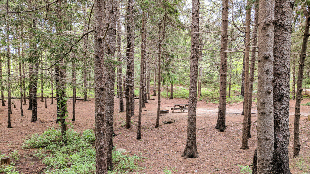 dispersed camping massachusetts state forest