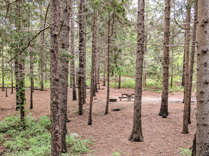 dispersed camping massachusetts state forest