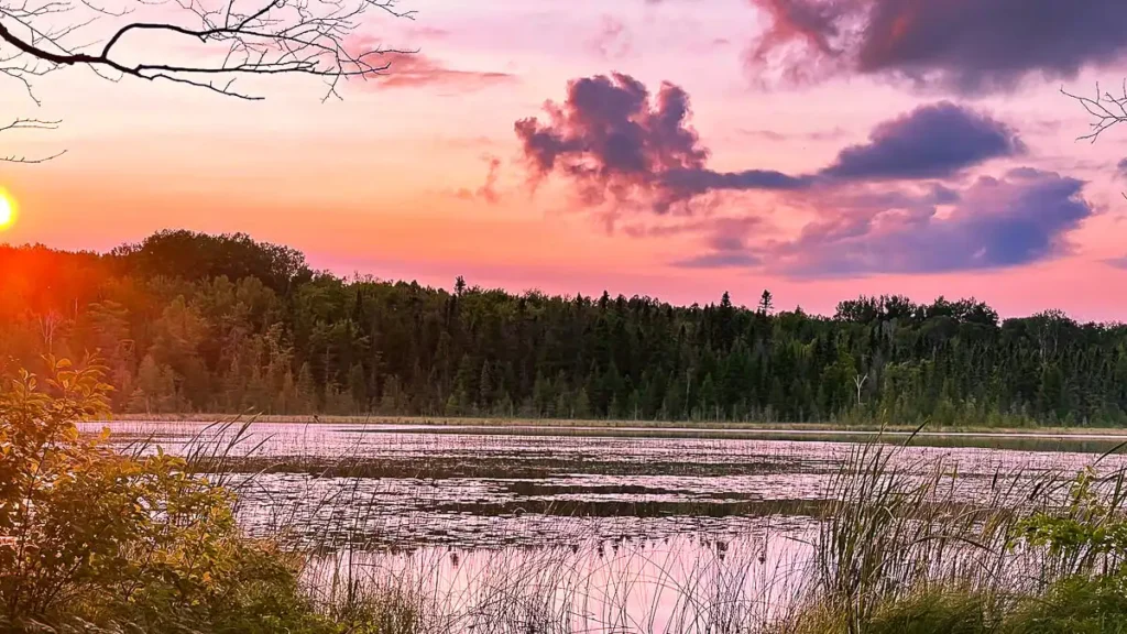 is camping allowed on michigan state land