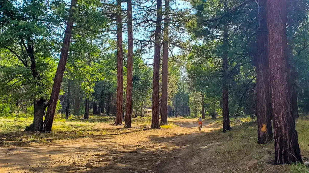 dispersed camping near big bear california