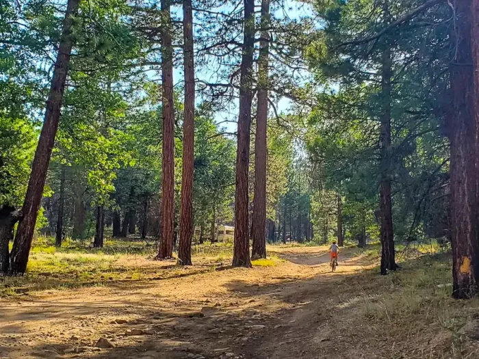 dispersed camping near big bear california