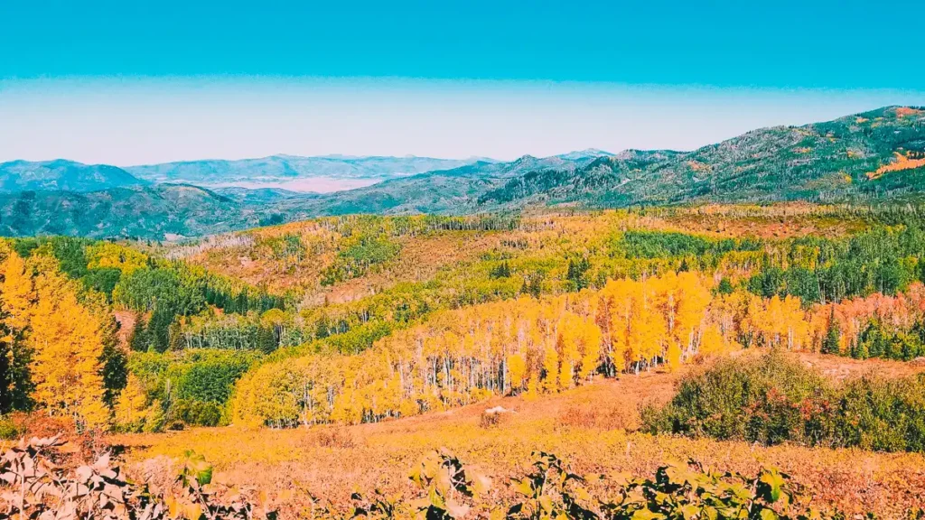 dispersed camping near steamboat springs colorado