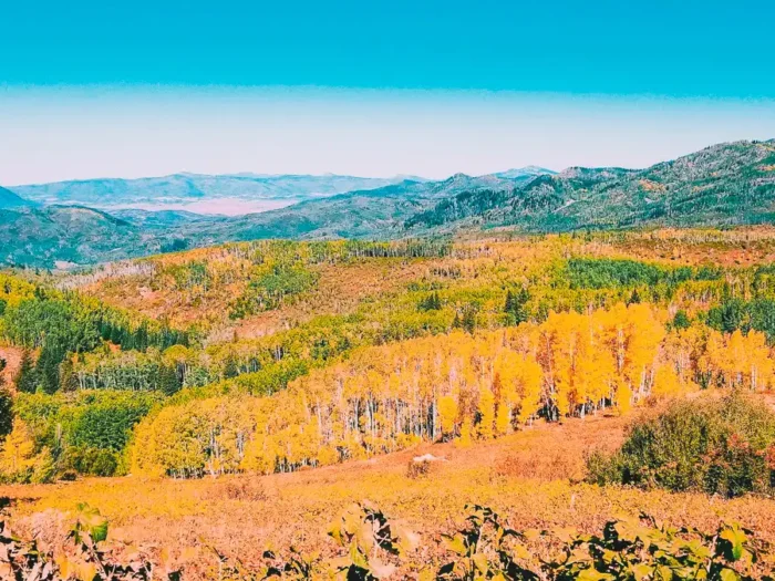 dispersed camping near steamboat springs colorado