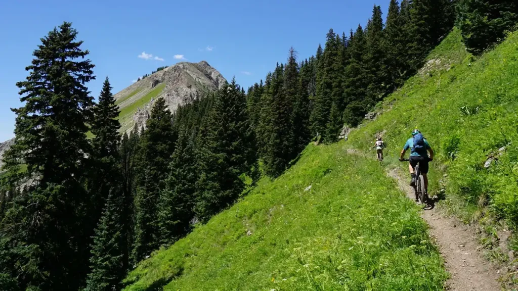 e-bikes legal on national forests