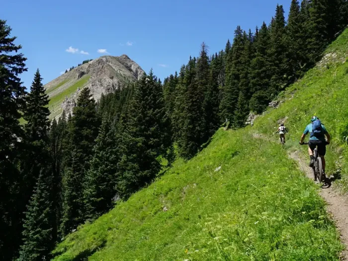 e-bikes legal on national forests