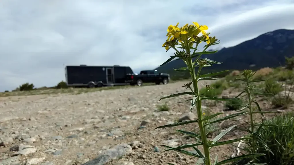 living on blm land