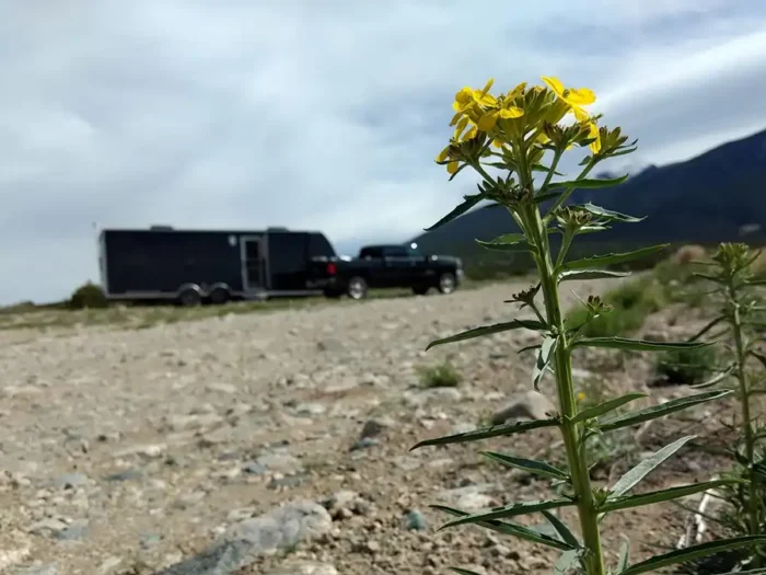 living on blm land
