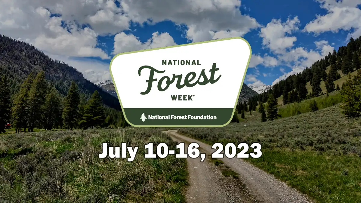Where Will You Be Boondocking on National Forest Week?