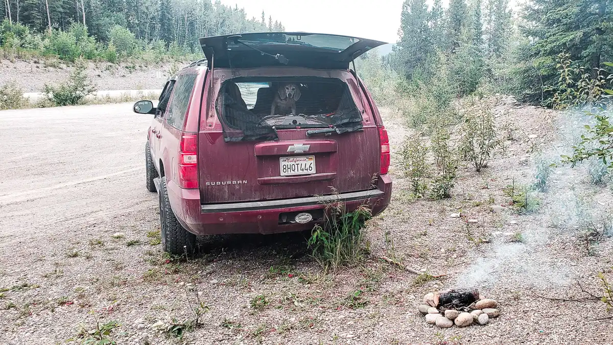 sleep on the side of the road in california