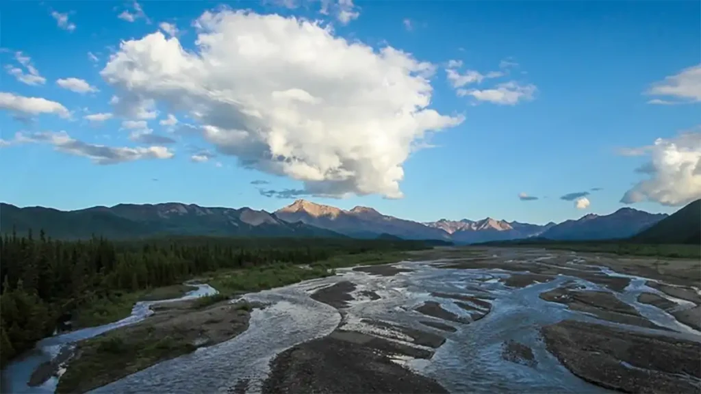 dispersed camping denali national park