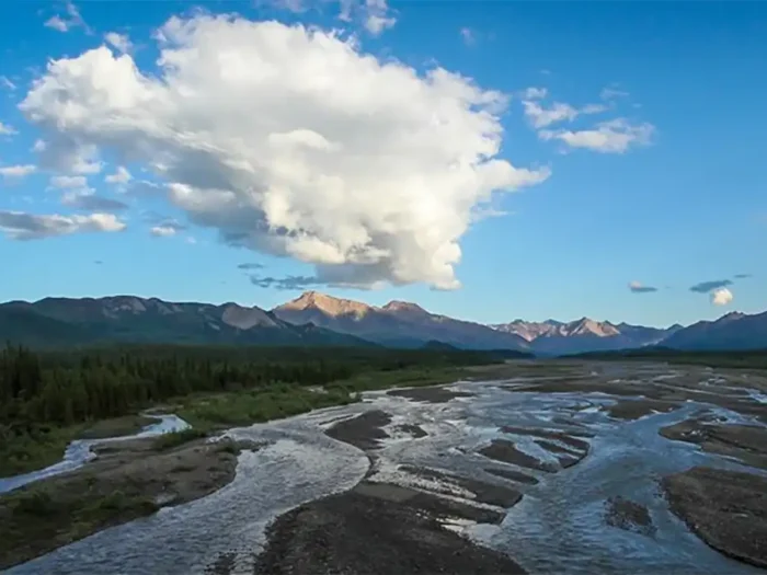 dispersed camping denali national park