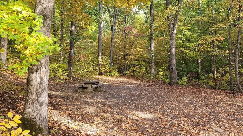 pisgah point camping area, land between the lakes kentucky